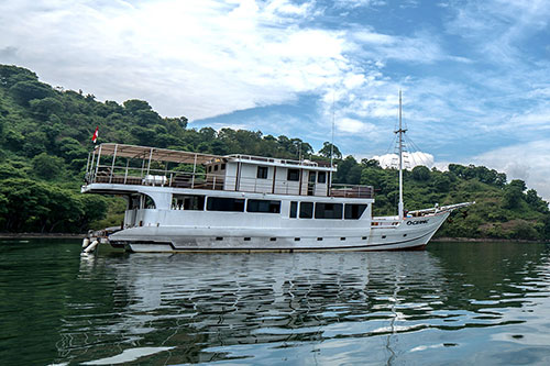 Oceanic charter cruises in Indonesia