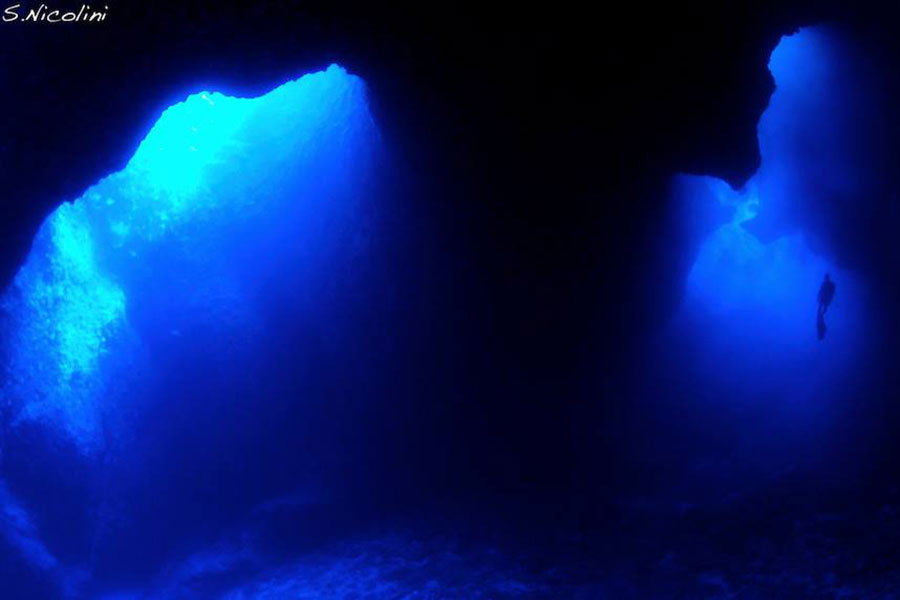 Blue Corner dive site in Palau