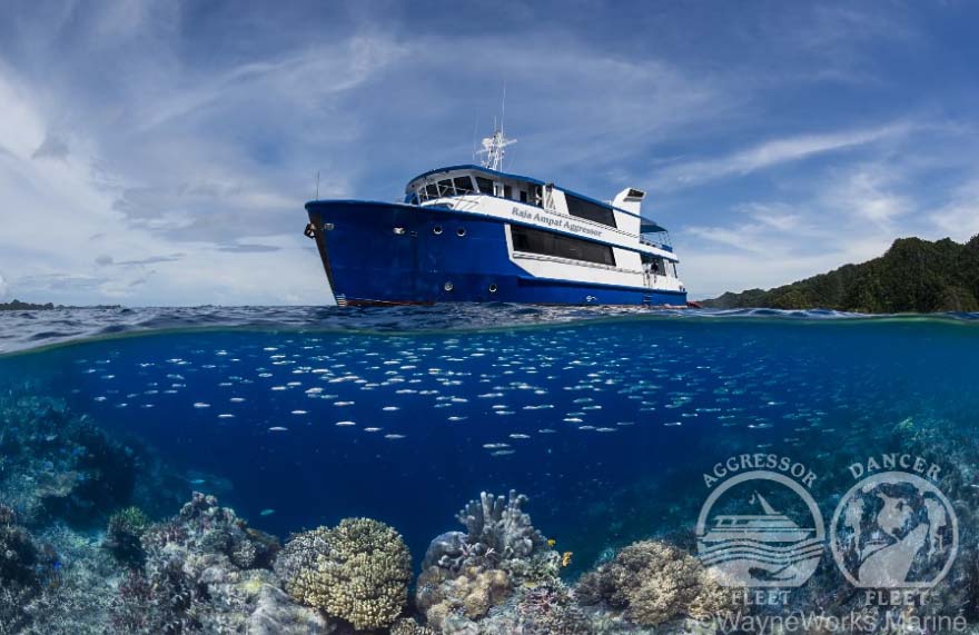 Raja Ampat Aggressor Cruising Indonesia