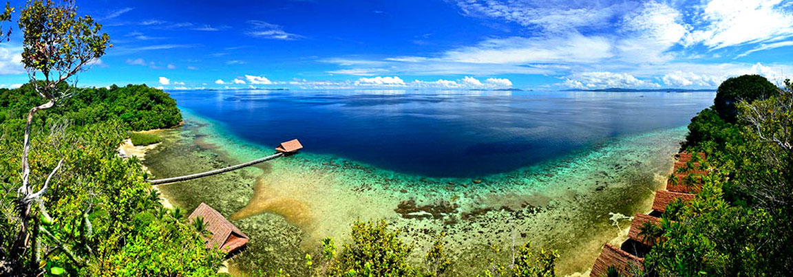 Raja 4 Divers Resort in Raja Ampat