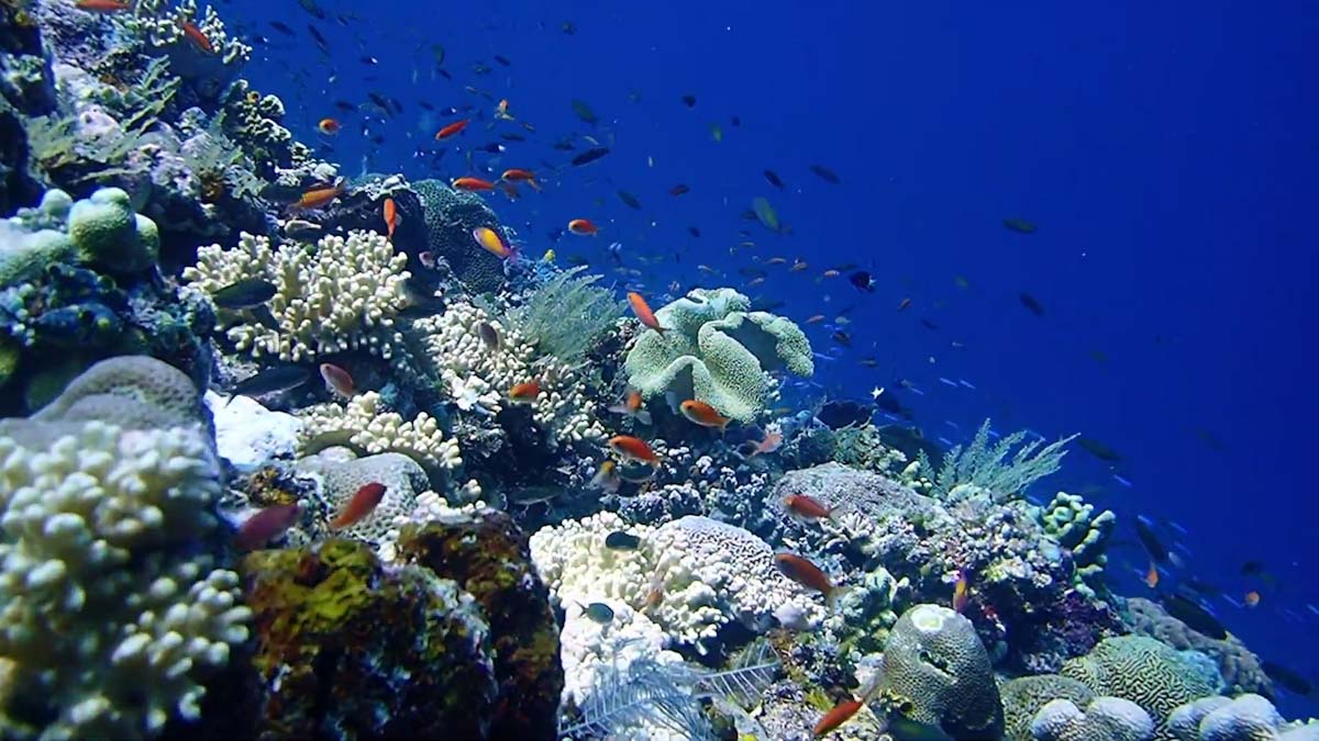 Lucipara Islands underwater ridge