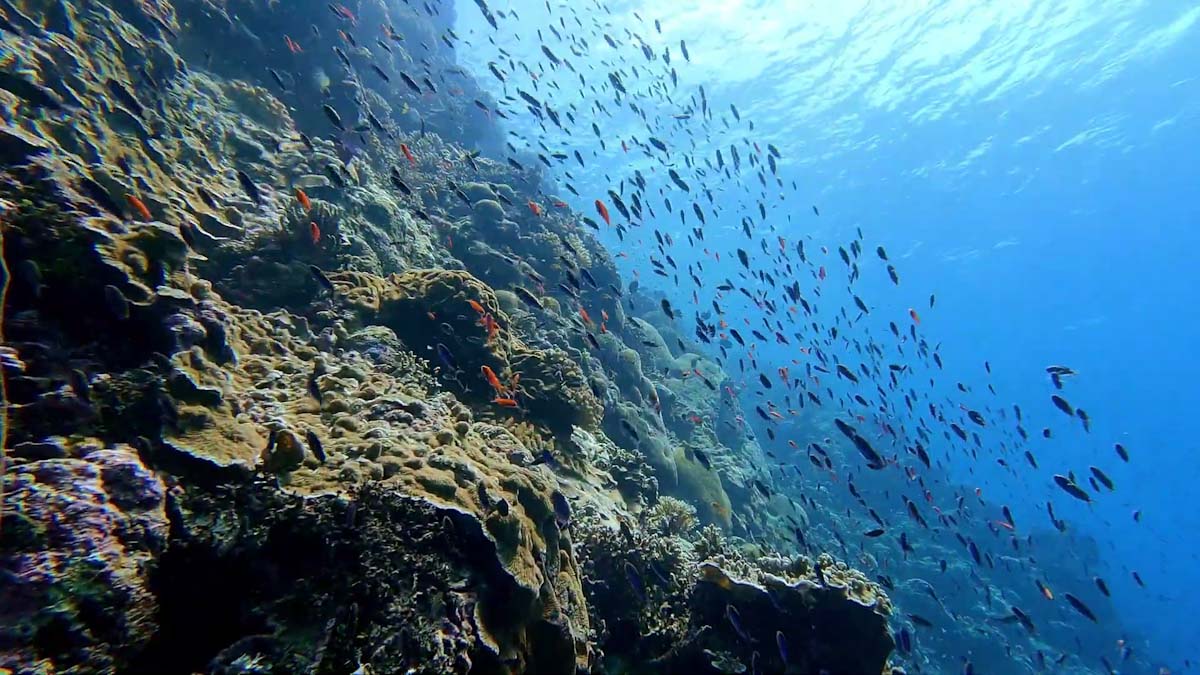 Lucipara Islands underwater ridge