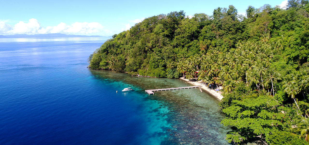 Sali Bay Resort's diving operations in Halmahera, Indonesia