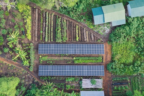 Permaculture farm at Savu South Alor Resort