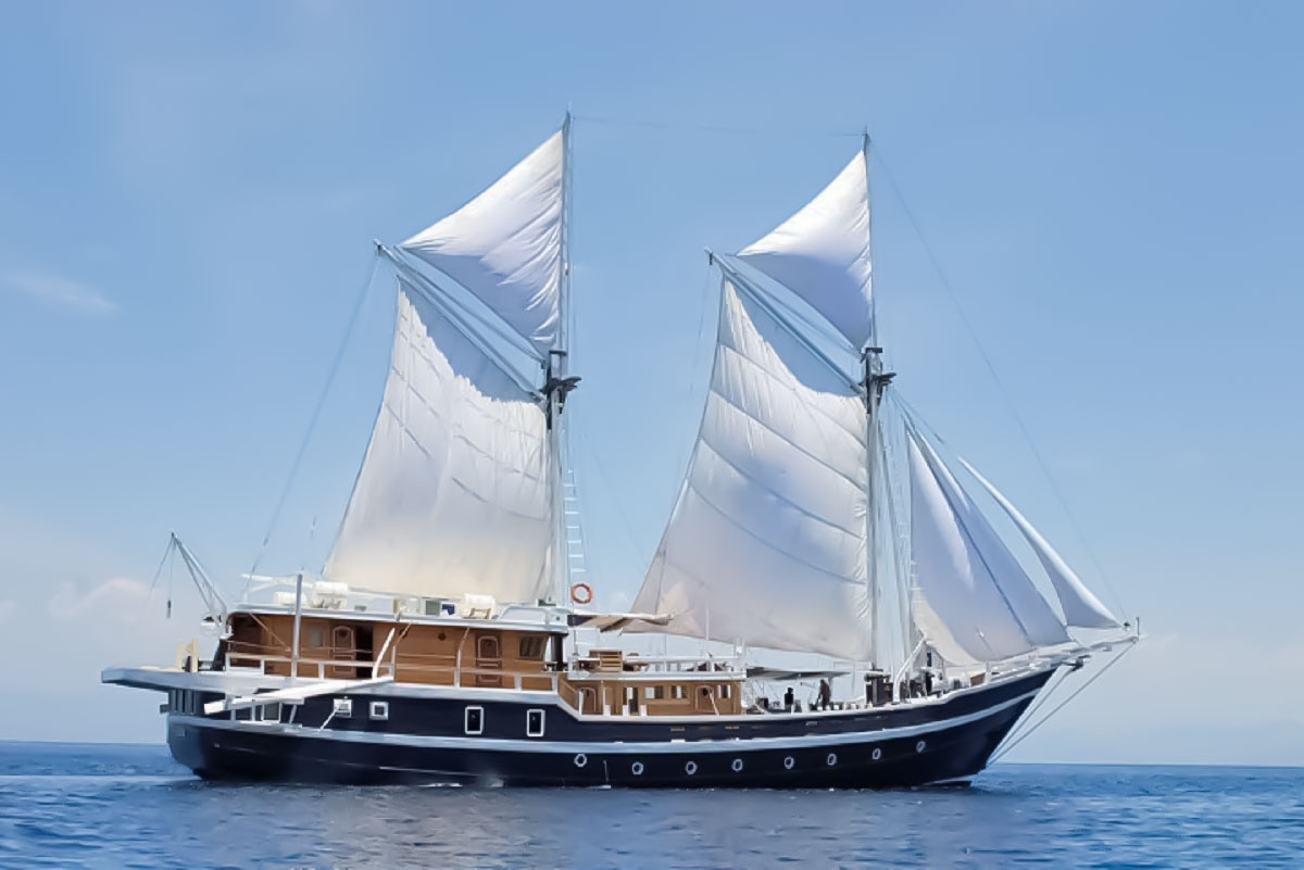 Seahorse Liveaboard Cruising Indonesia