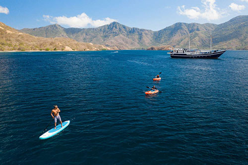 Seahorse's kayaks and paddle