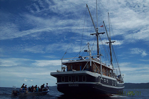 Cruises for scuba divers on Seahorse