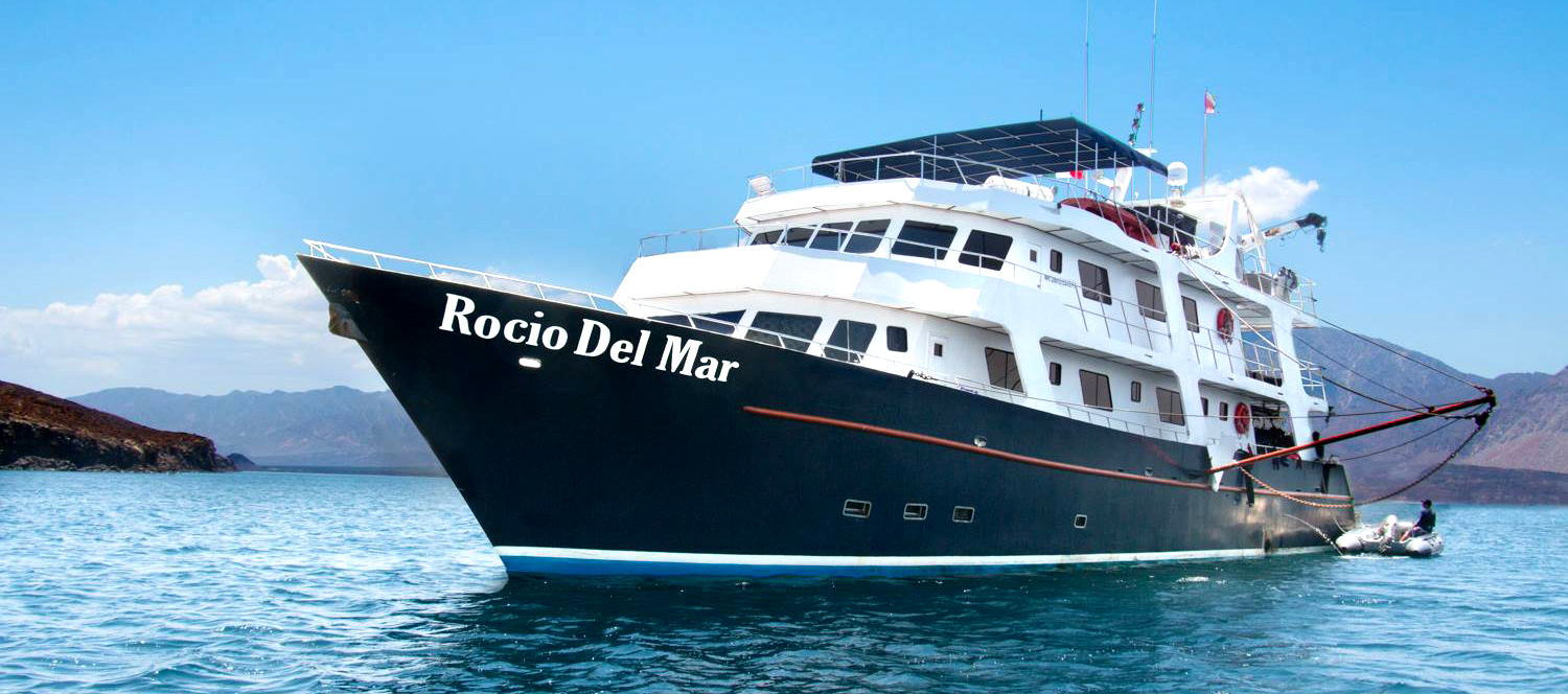 The Rocio del Mar Liveaboard