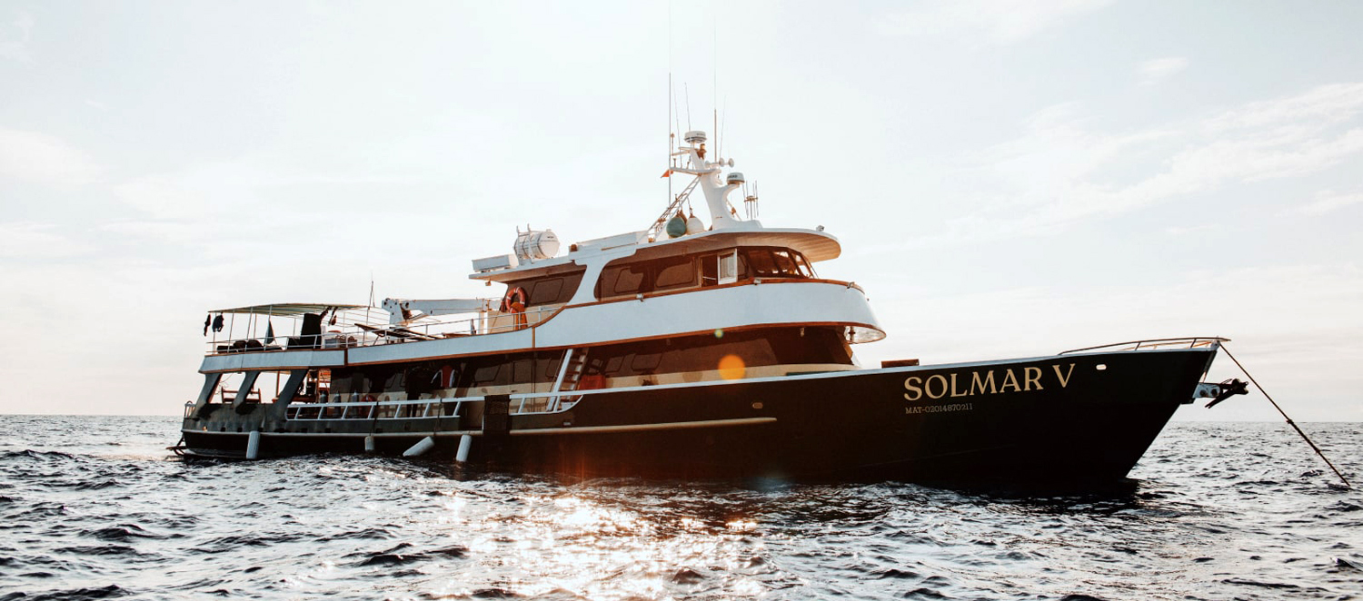 The Solmar V Liveaboard