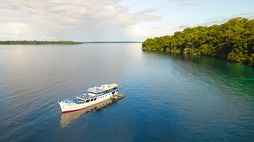 cruises for scuba divers in Solomon Islands