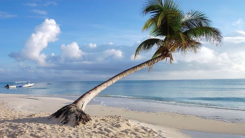 cruises for scuba divers in Solomon Islands