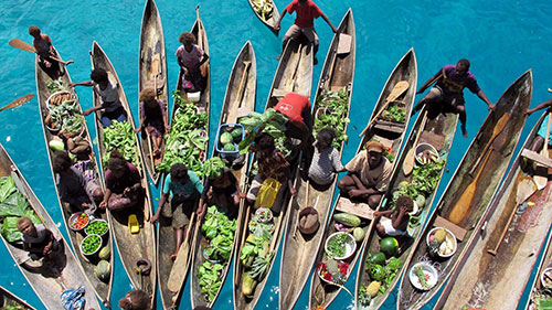 cruises for scuba divers in Solomon Islands