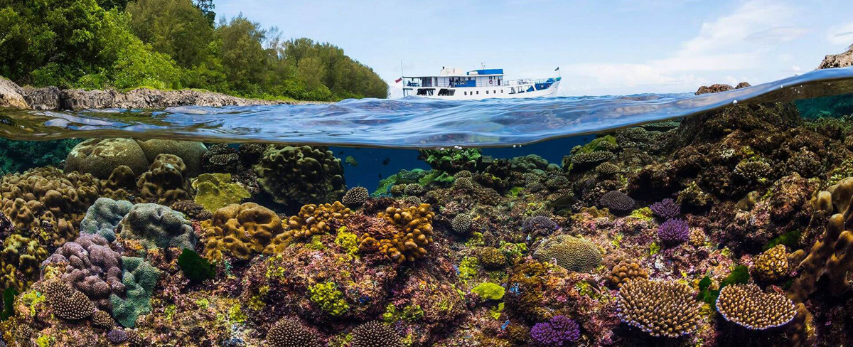 Bilikiki liveaboard in Solomon Islands