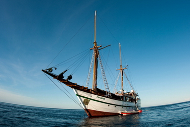 Tambora_Liveaboard_09