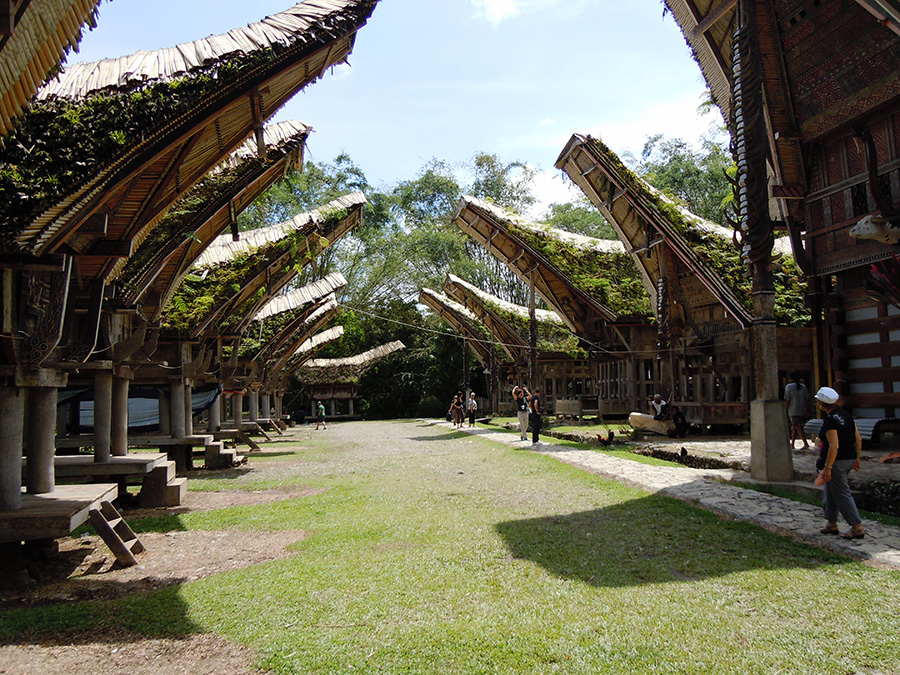 Toraja tongkonan