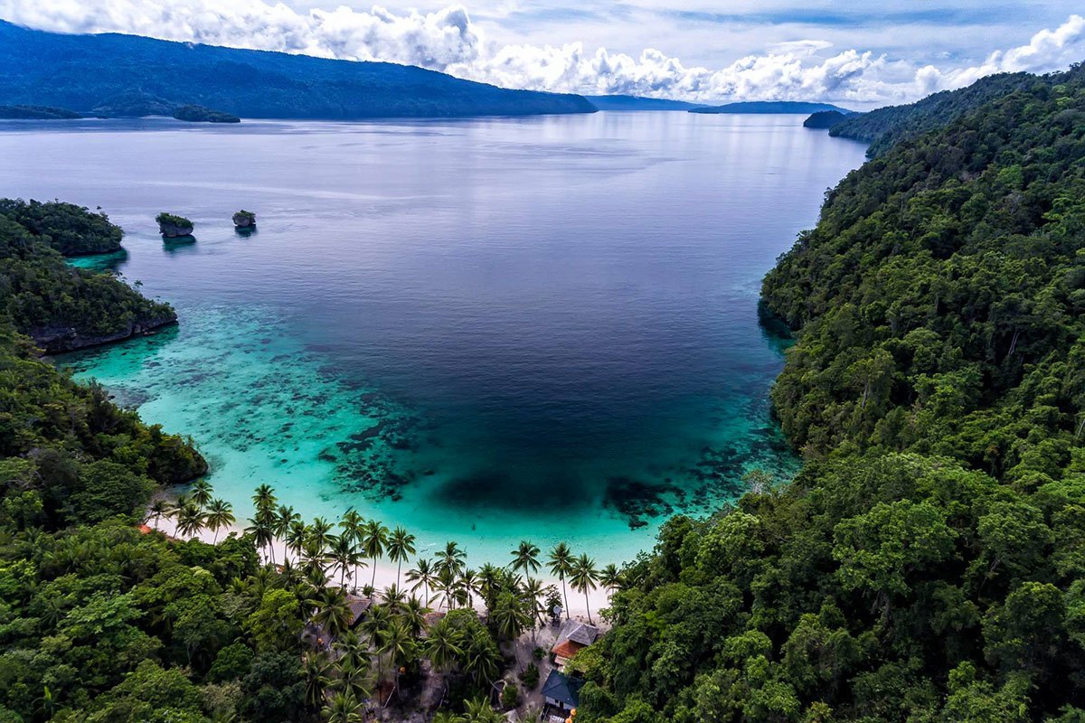 House reef of Triton Bay Divers