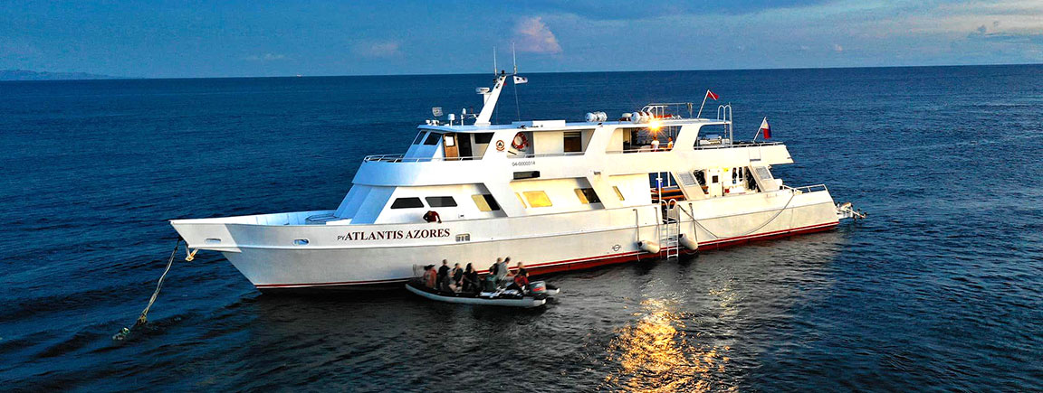 Atlantis Azores Liveaboard in Tubbataha Reef