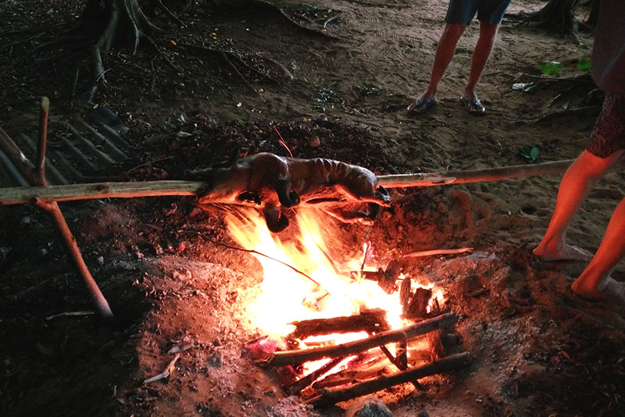 Suckling pig in Tonga